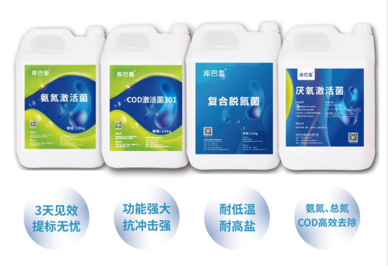 低溫硝化菌庫(kù)巴魯微生物降解菌